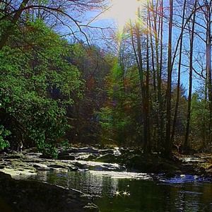 Meet your Posher, Beth